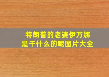 特朗普的老婆伊万娜是干什么的呢图片大全