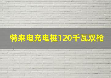 特来电充电桩120千瓦双枪