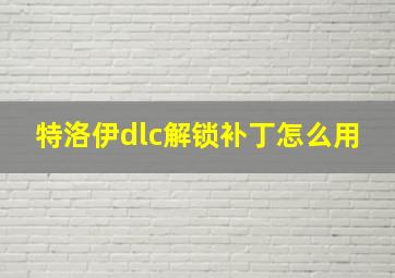 特洛伊dlc解锁补丁怎么用