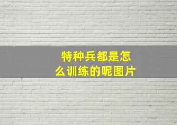 特种兵都是怎么训练的呢图片