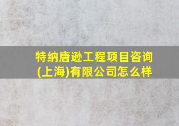 特纳唐逊工程项目咨询(上海)有限公司怎么样