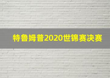 特鲁姆普2020世锦赛决赛