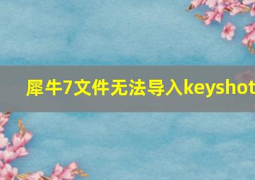 犀牛7文件无法导入keyshot