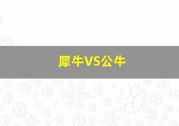 犀牛VS公牛