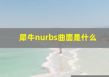 犀牛nurbs曲面是什么