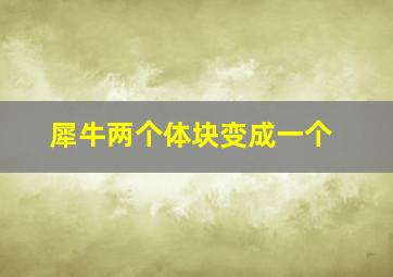 犀牛两个体块变成一个