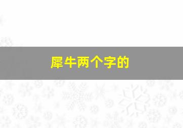 犀牛两个字的