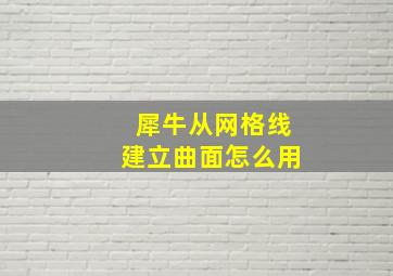 犀牛从网格线建立曲面怎么用