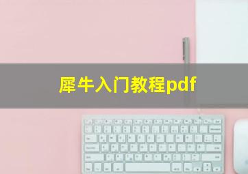 犀牛入门教程pdf