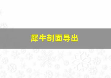 犀牛剖面导出