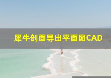 犀牛剖面导出平面图CAD