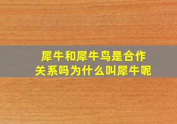 犀牛和犀牛鸟是合作关系吗为什么叫犀牛呢