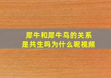 犀牛和犀牛鸟的关系是共生吗为什么呢视频