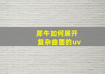 犀牛如何展开复杂曲面的uv