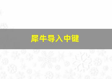 犀牛导入中键