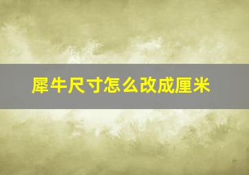 犀牛尺寸怎么改成厘米