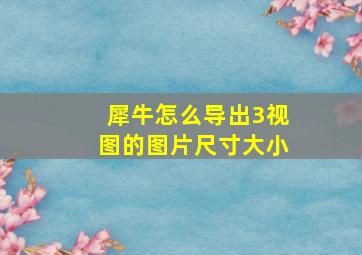 犀牛怎么导出3视图的图片尺寸大小