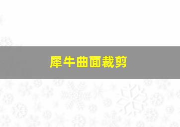 犀牛曲面裁剪