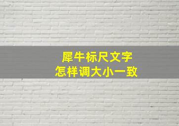 犀牛标尺文字怎样调大小一致