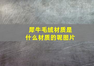 犀牛毛绒材质是什么材质的呢图片