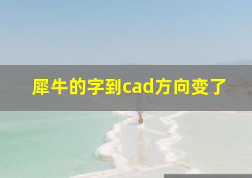 犀牛的字到cad方向变了