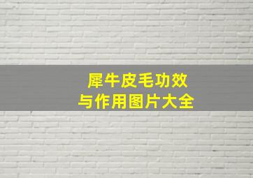 犀牛皮毛功效与作用图片大全