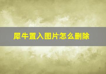 犀牛置入图片怎么删除