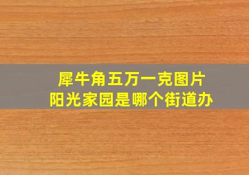 犀牛角五万一克图片阳光家园是哪个街道办