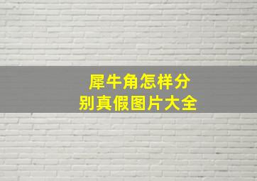 犀牛角怎样分别真假图片大全