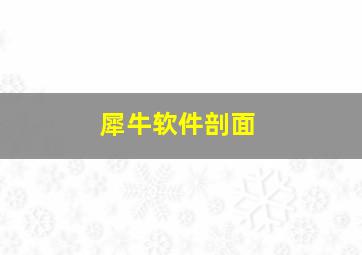 犀牛软件剖面