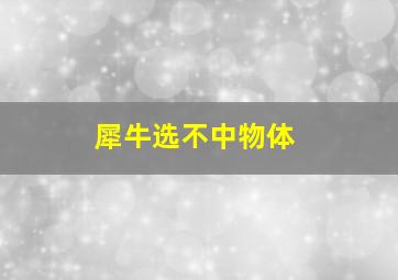 犀牛选不中物体