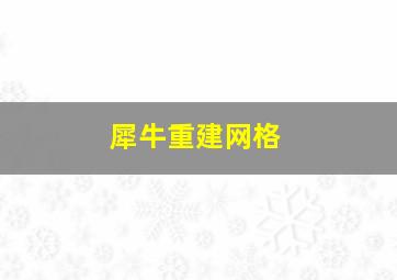 犀牛重建网格