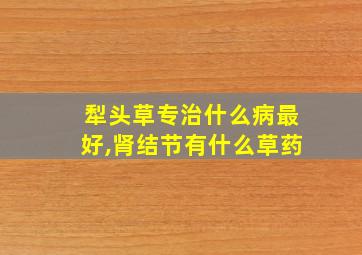 犁头草专治什么病最好,肾结节有什么草药