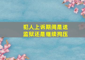 犯人上诉期间是送监狱还是继续拘压