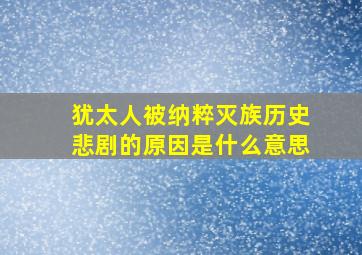 犹太人被纳粹灭族历史悲剧的原因是什么意思