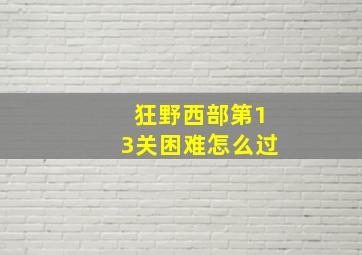 狂野西部第13关困难怎么过