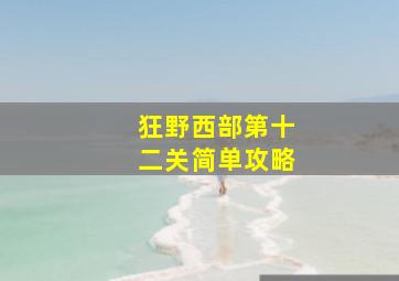 狂野西部第十二关简单攻略