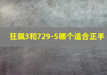 狂飙3和729-5哪个适合正手