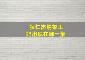 狄仁杰纳鲁王妃出现在哪一集