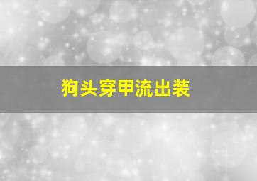 狗头穿甲流出装