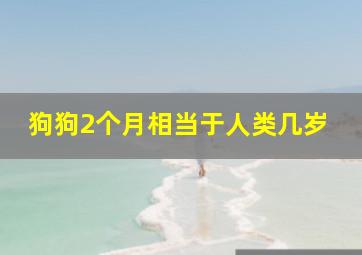 狗狗2个月相当于人类几岁