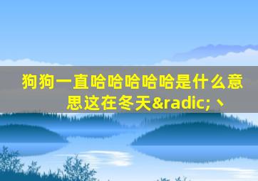 狗狗一直哈哈哈哈哈是什么意思这在冬天√丶