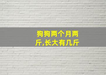 狗狗两个月两斤,长大有几斤