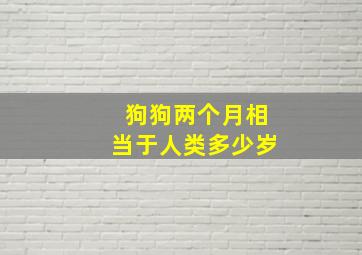 狗狗两个月相当于人类多少岁