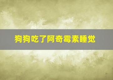 狗狗吃了阿奇霉素睡觉