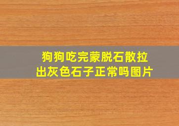 狗狗吃完蒙脱石散拉出灰色石子正常吗图片