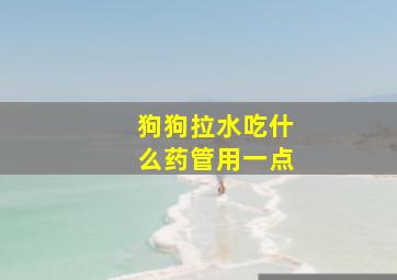 狗狗拉水吃什么药管用一点