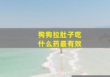 狗狗拉肚子吃什么药最有效