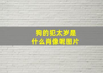 狗的犯太岁是什么肖像呢图片