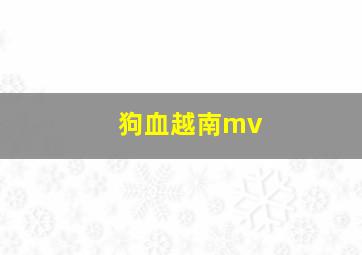 狗血越南mv